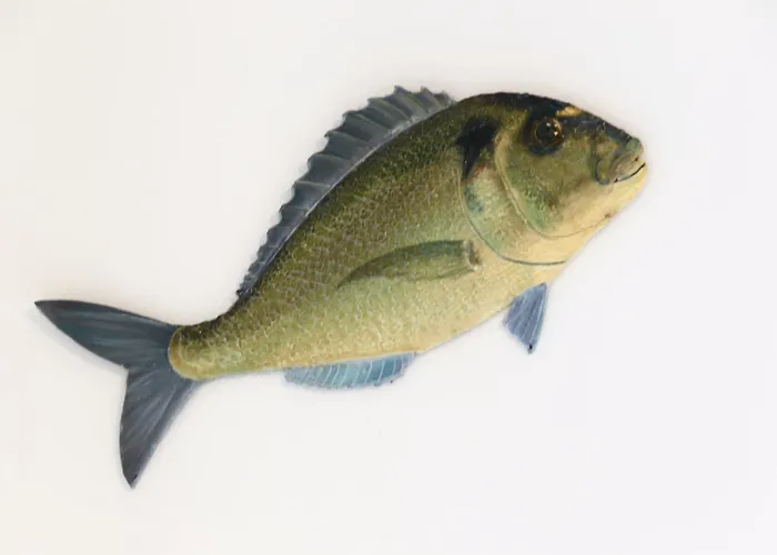 Mai Senza Mare Apartman